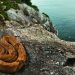 Isla de las Serpientes Mortales: Los Secretos Mortales de La Grande