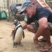 Le Lien Étonnant : Comment Dindim le Pingouin Montre Que les Connexions Entre l'Homme et l'Animal Peuvent Durée à Travers les Continents